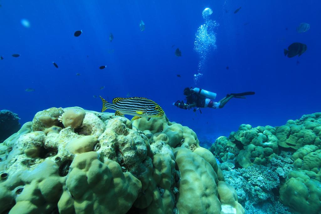Plumeria Maldives Thinadhoo  Esterno foto
