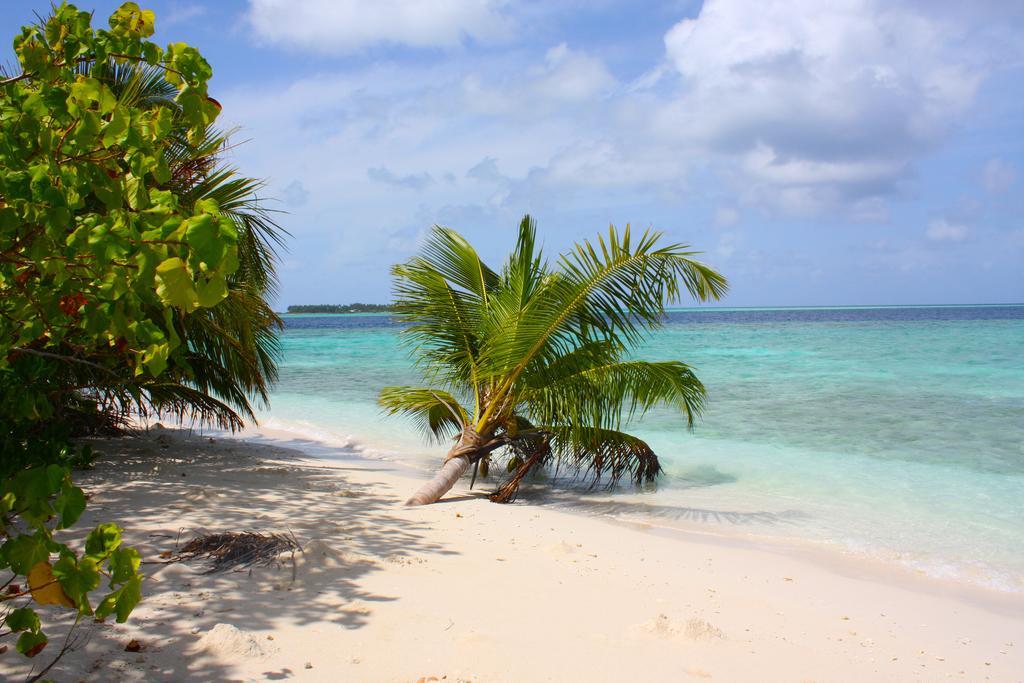 Plumeria Maldives Thinadhoo  Esterno foto