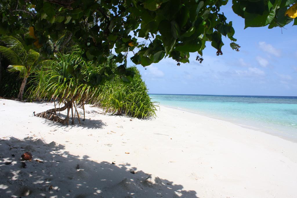 Plumeria Maldives Thinadhoo  Esterno foto