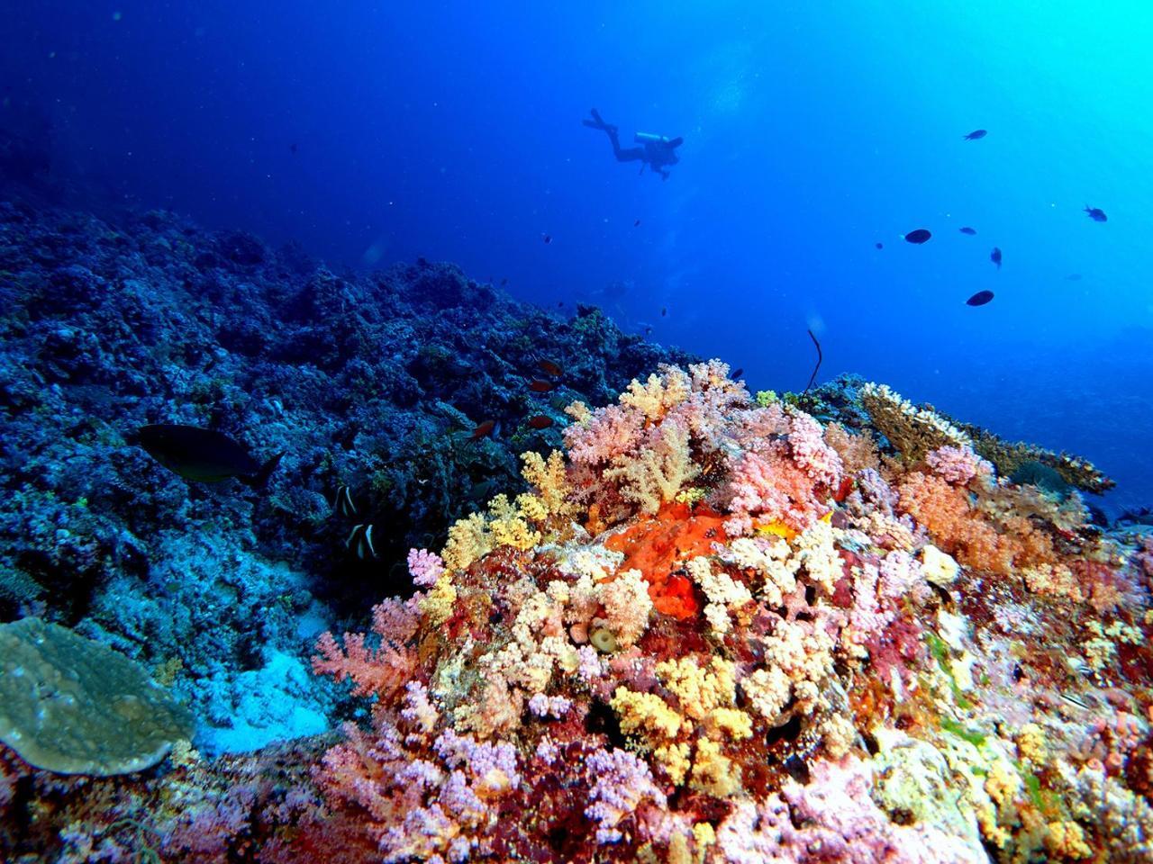 Plumeria Maldives Thinadhoo  Esterno foto